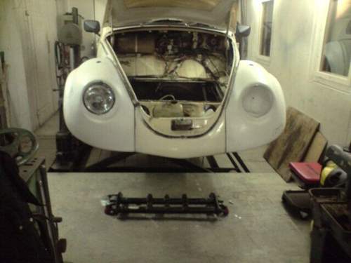 Verbreiterte-kotfluegel