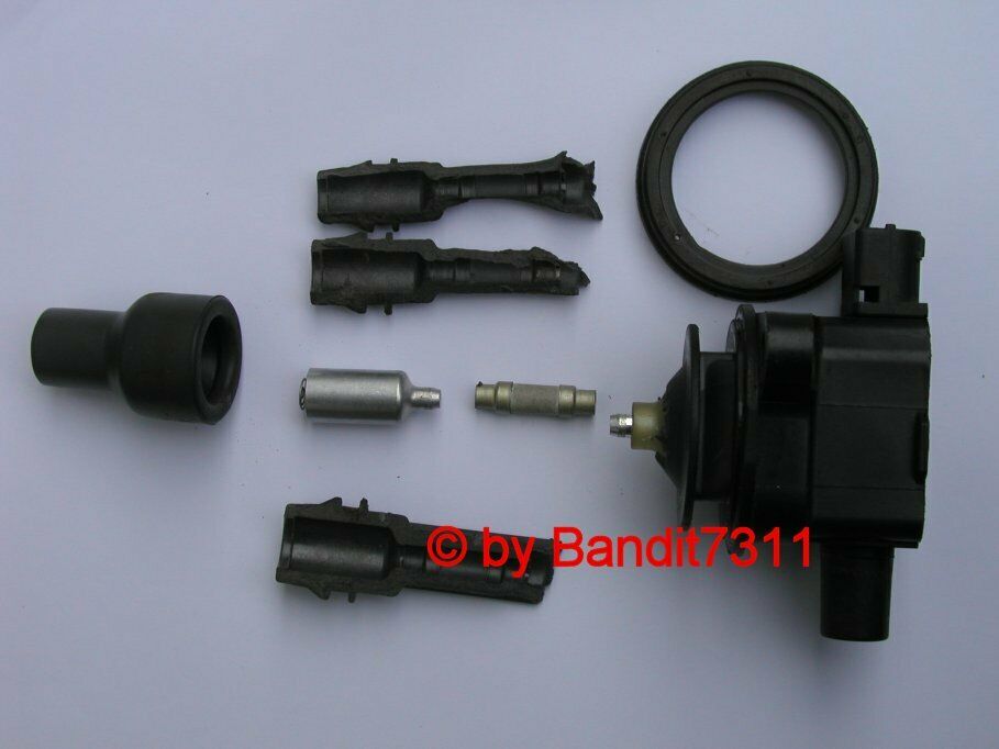 Zündspulen Ph1 2,0T, Ruckeln...Fehlerlampe