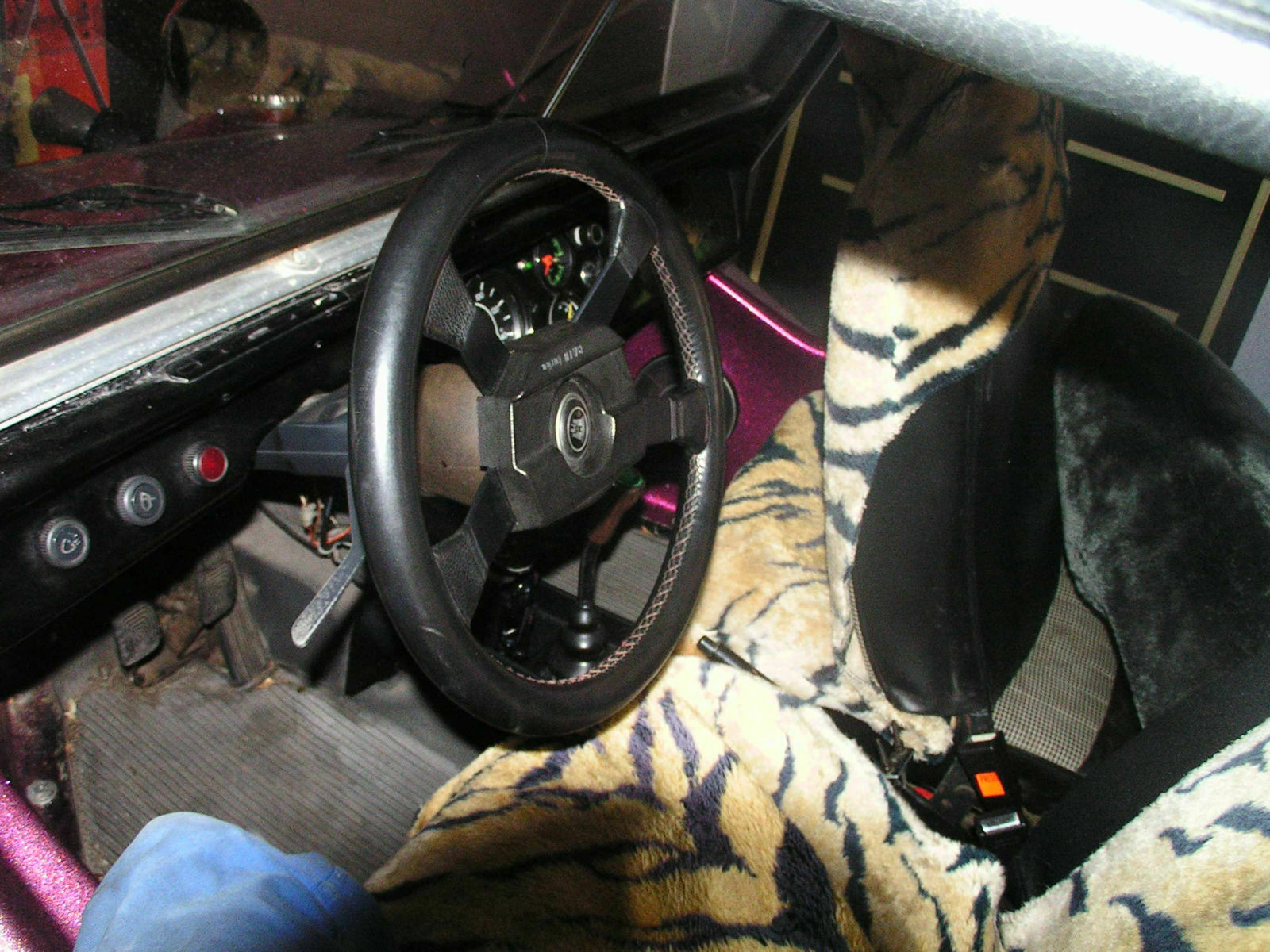 Mein Buggy wie er lebt und gedeiht^^