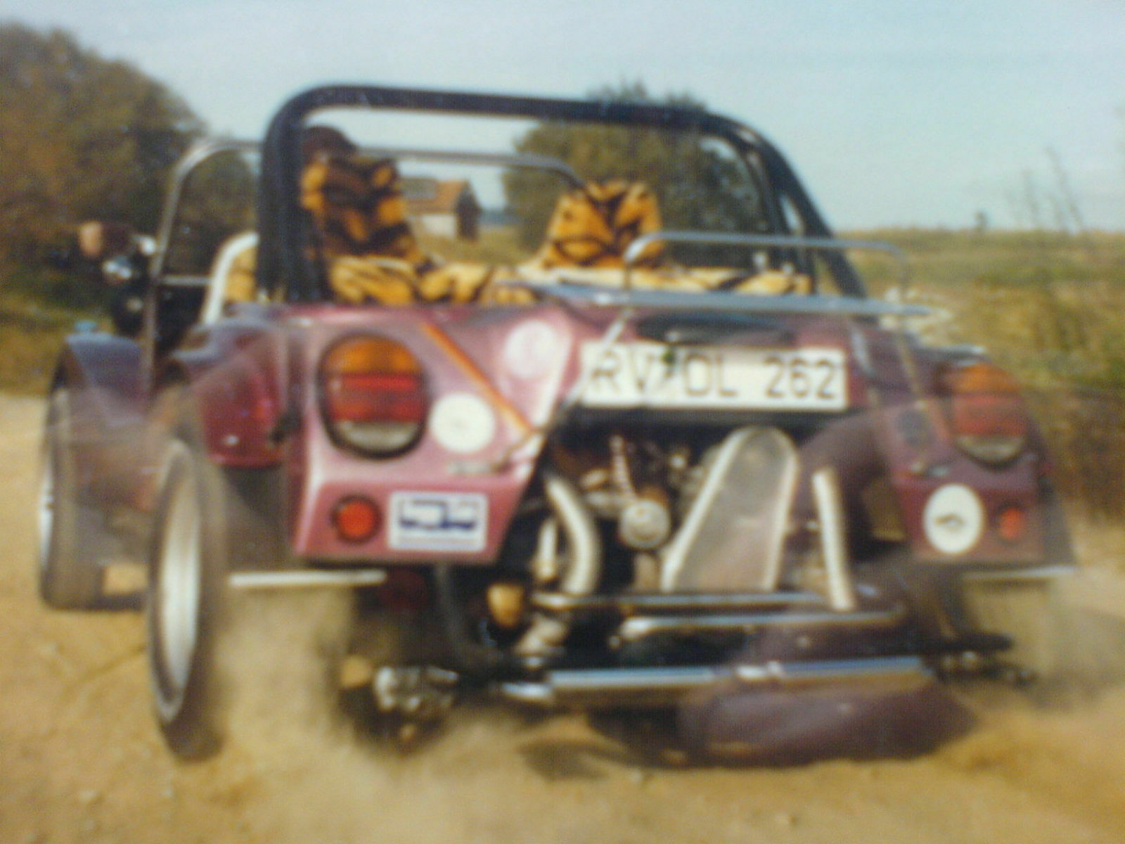 Mein Buggy wie er lebt und gedeiht^^