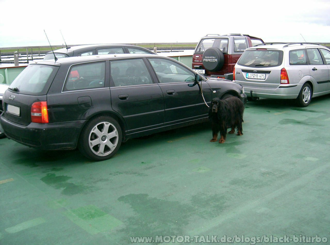 Erste Vorstellung Audi S4