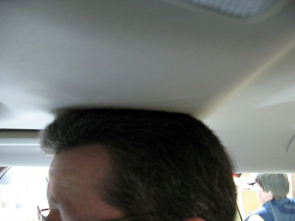 Kopffreiheit 1,94 Sitzriese Panoramadach