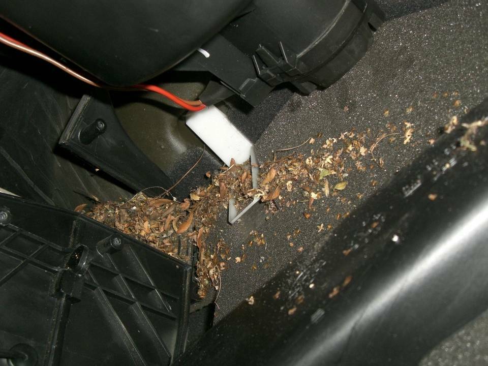 Innenraumfilter wechsel Anleitung