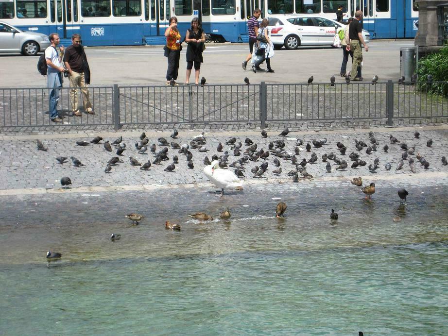 Besuch in der Schweiz