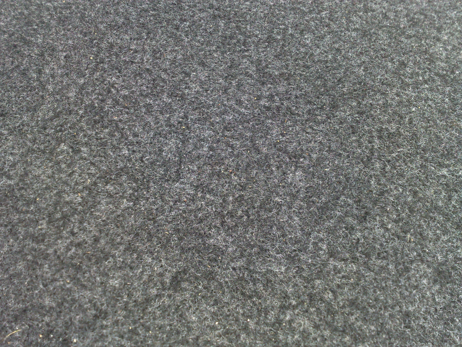 Sau(g)stark: Vergleich von Teppichqualitäten in modernen Autos