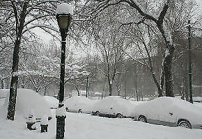 Wenn der Winterdienst an allem Schuld hat…