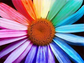 Das ultimative Lexikon der Farben!