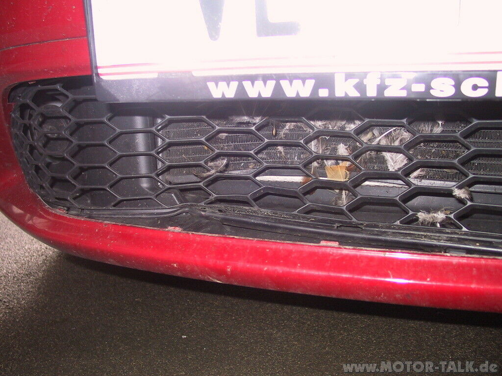 Der 1. Steinschlag...