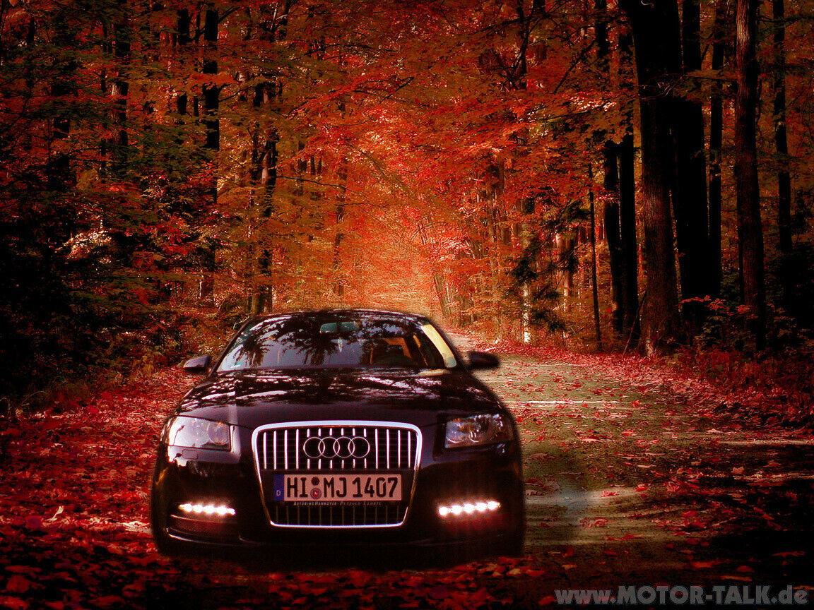 Der "wunderschöne Fotos" Sammelthread >>>>>