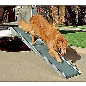 Warum fehlen diese SA?