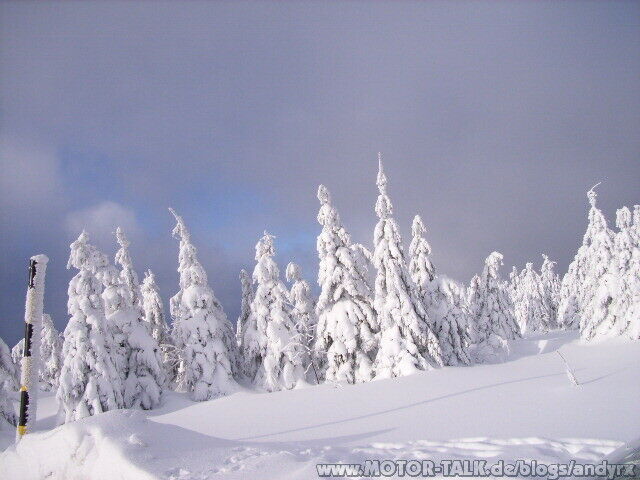 Winterpics->eure Autos im Schnee