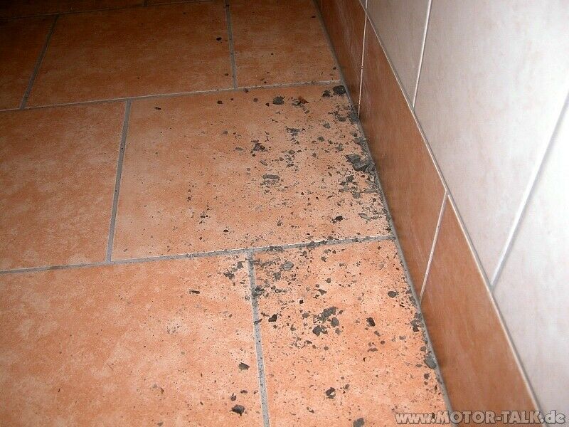 Große Anti Rost Aktion von Audi!