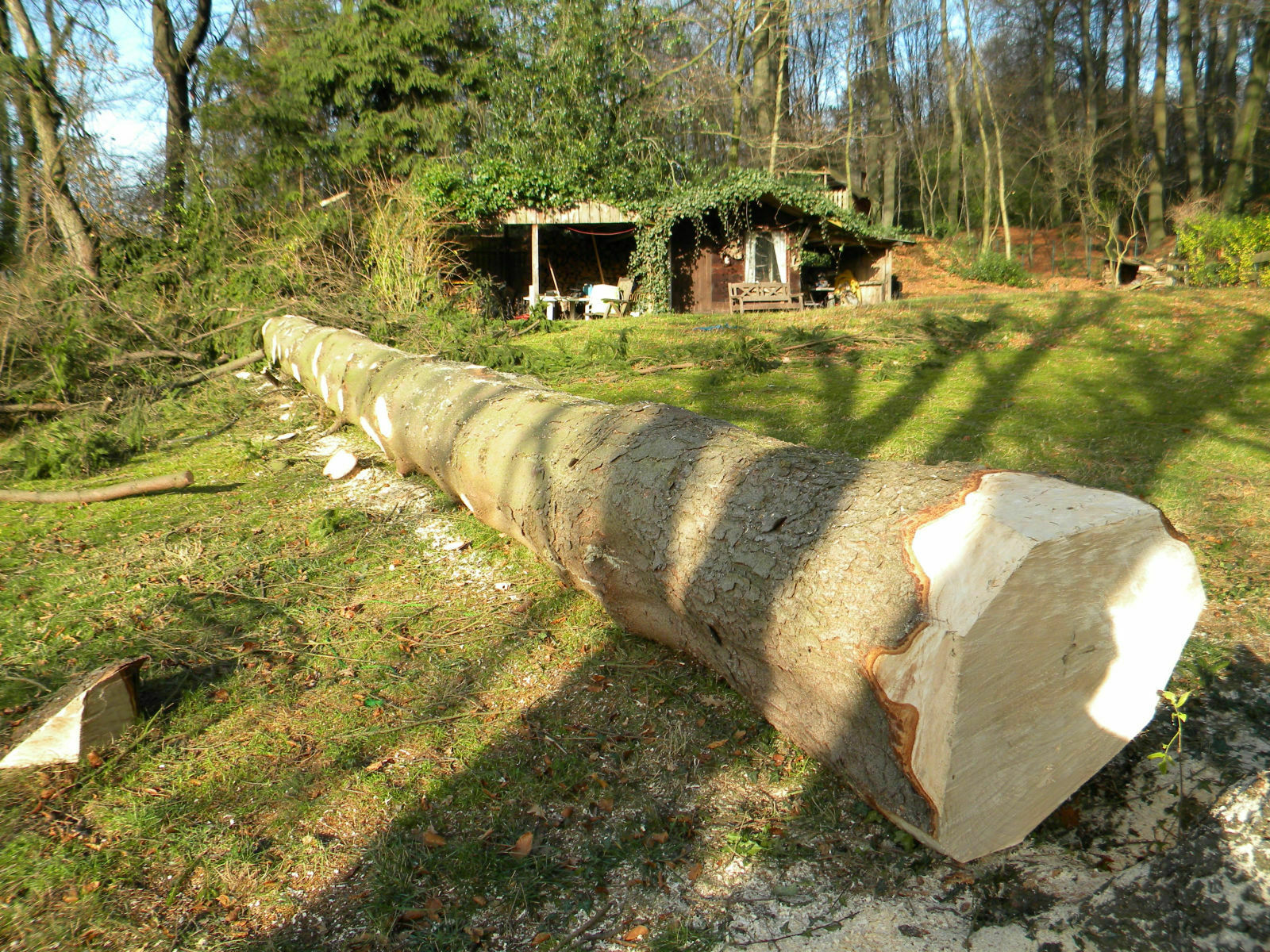 Ein neuer in der Audi A3Sportback Familie