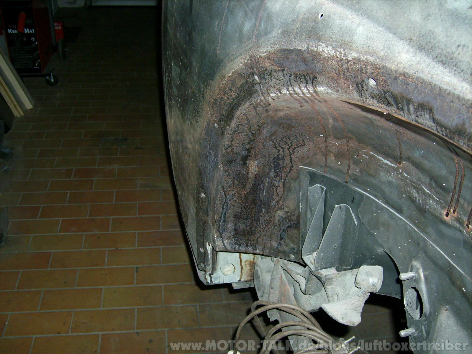 Er wächst und wächst