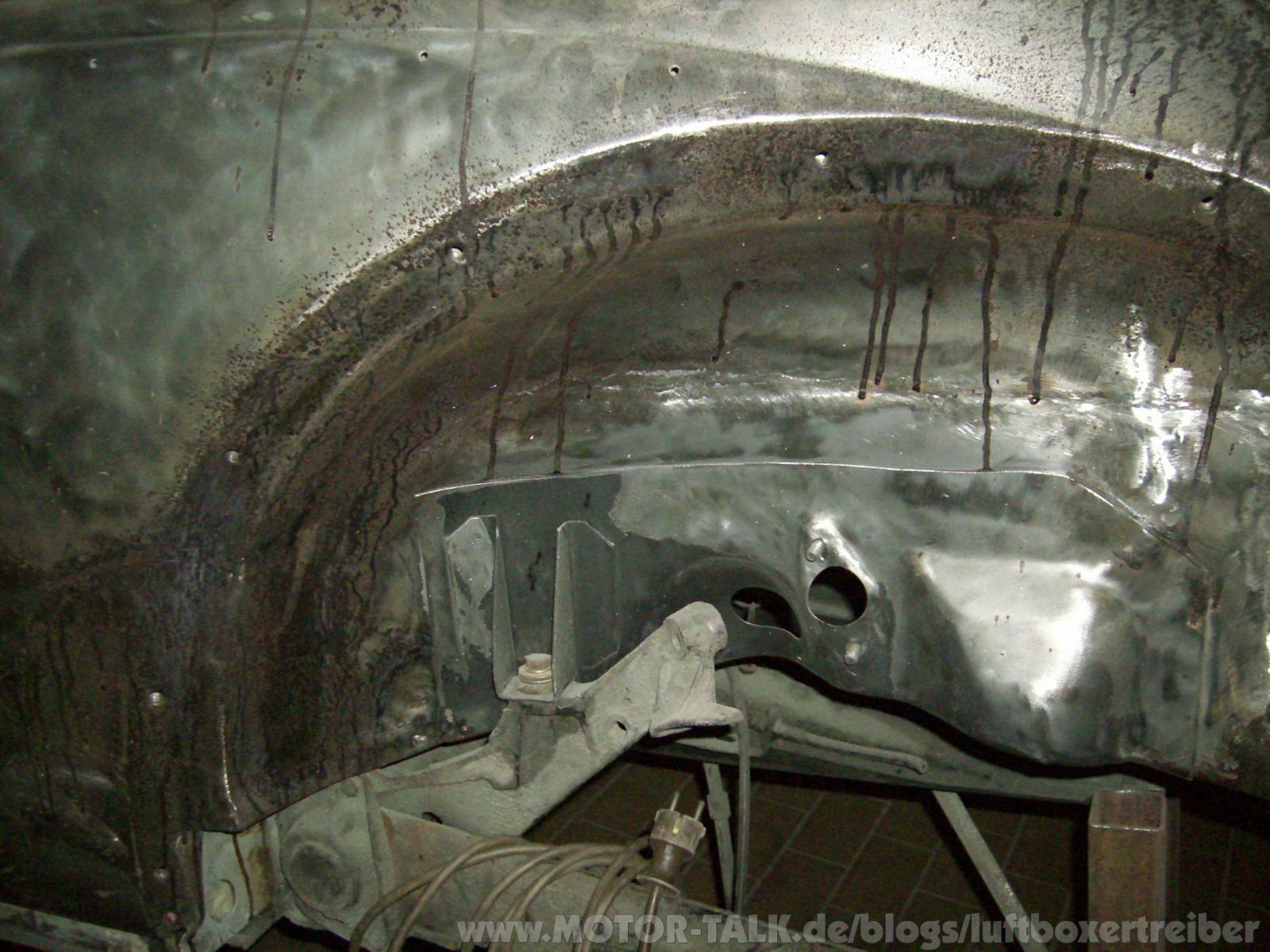 Er wächst und wächst