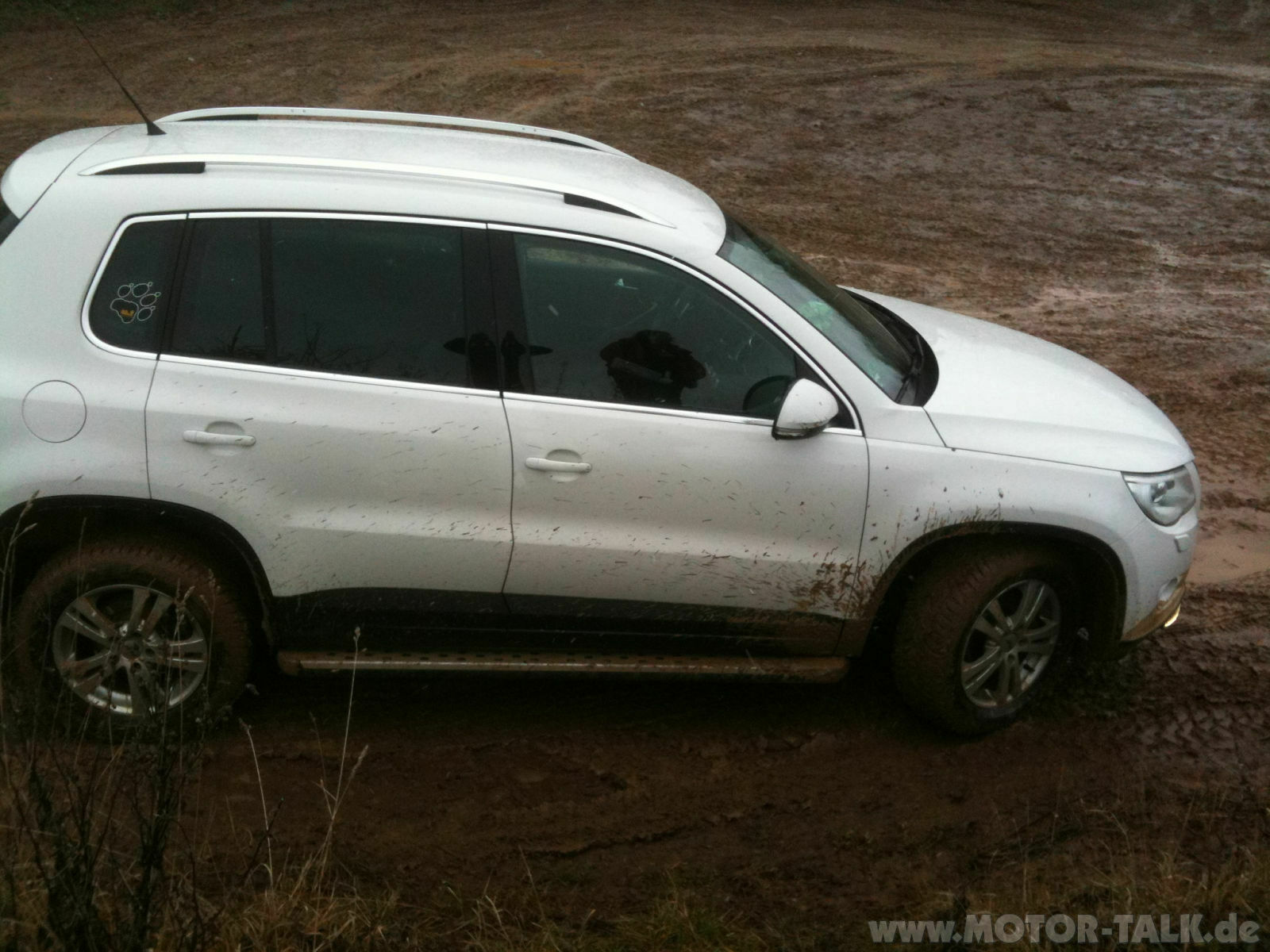 Schlamm und Matsch Bilder