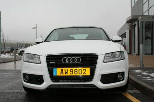 Img-4820-large-e-mail-view