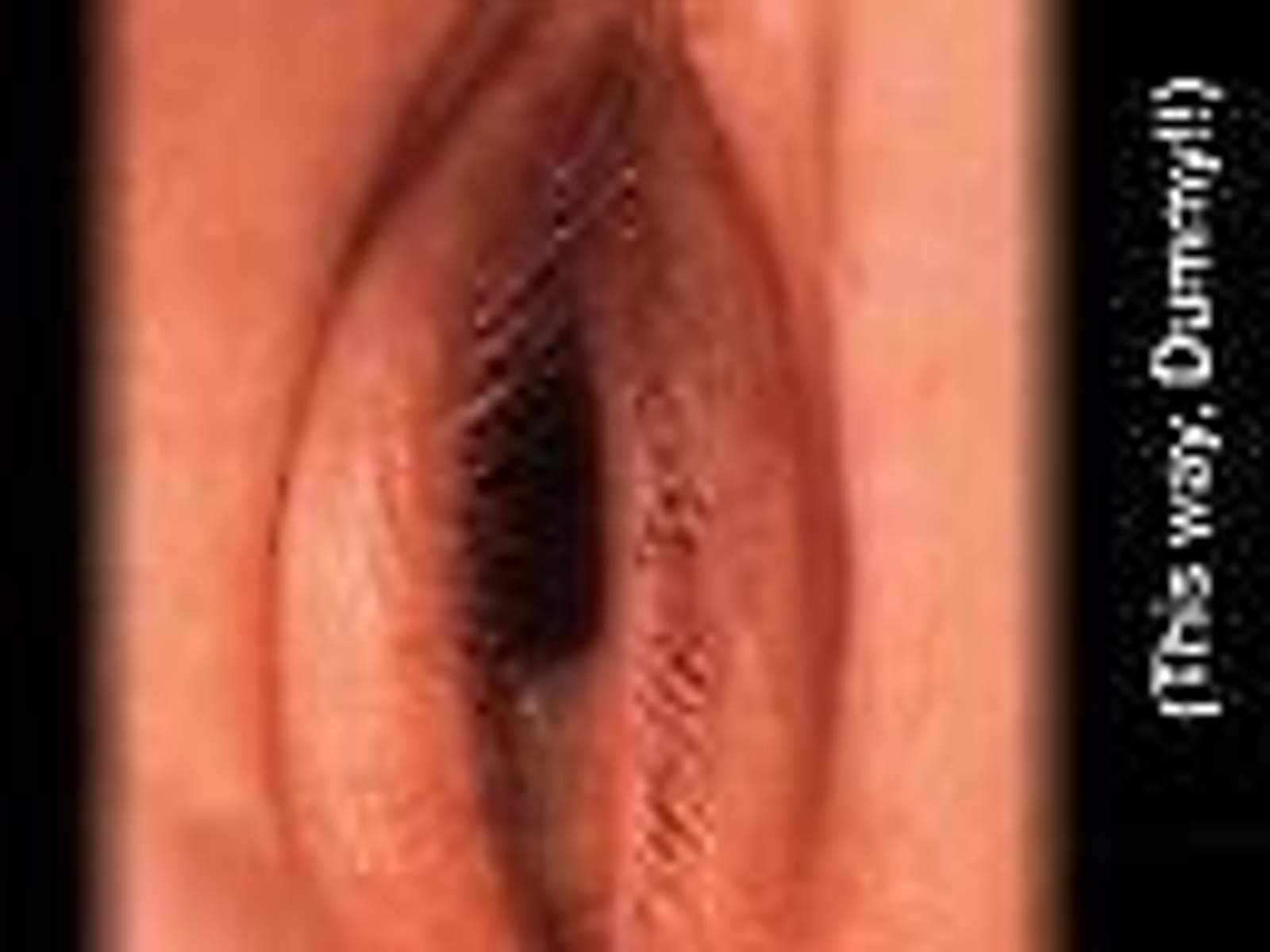 pic-a4246953d06887be8ab2dac4e03da2ac-thumb