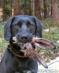 Ostern-faellt-wirklich-aus