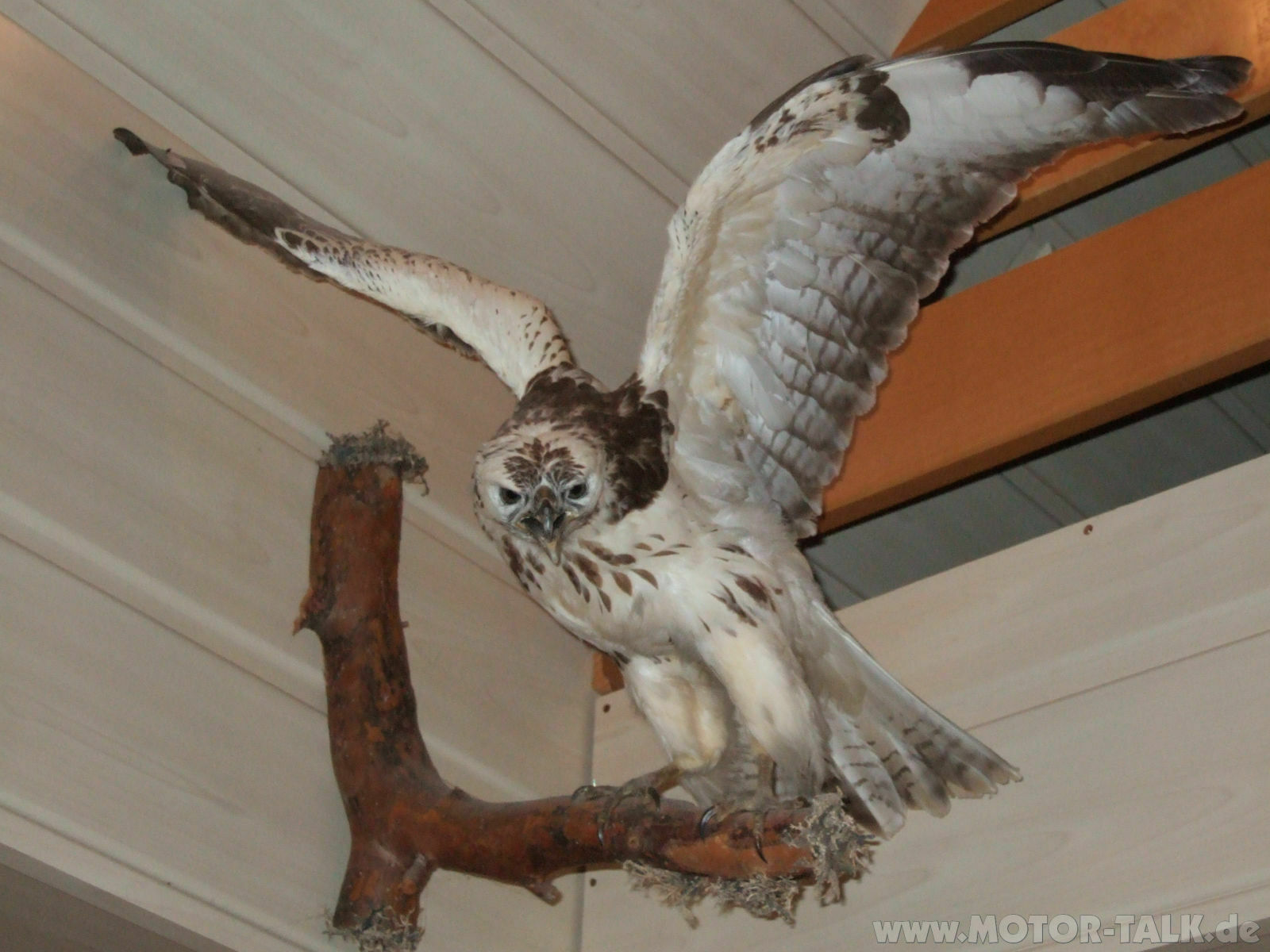 ich-bin-ja-so-alleine