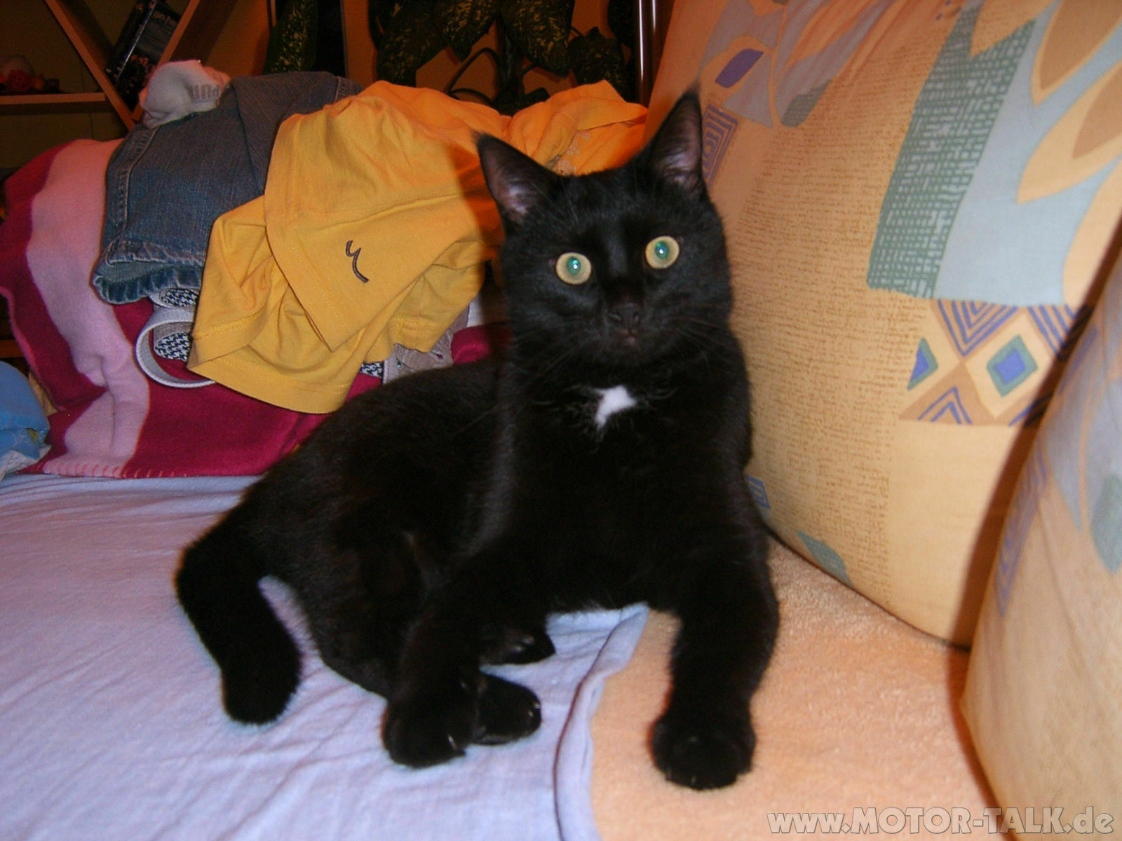 Ich kann auch lieb sein