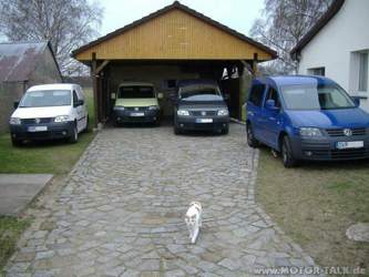 Caddytreffen-mit-kater