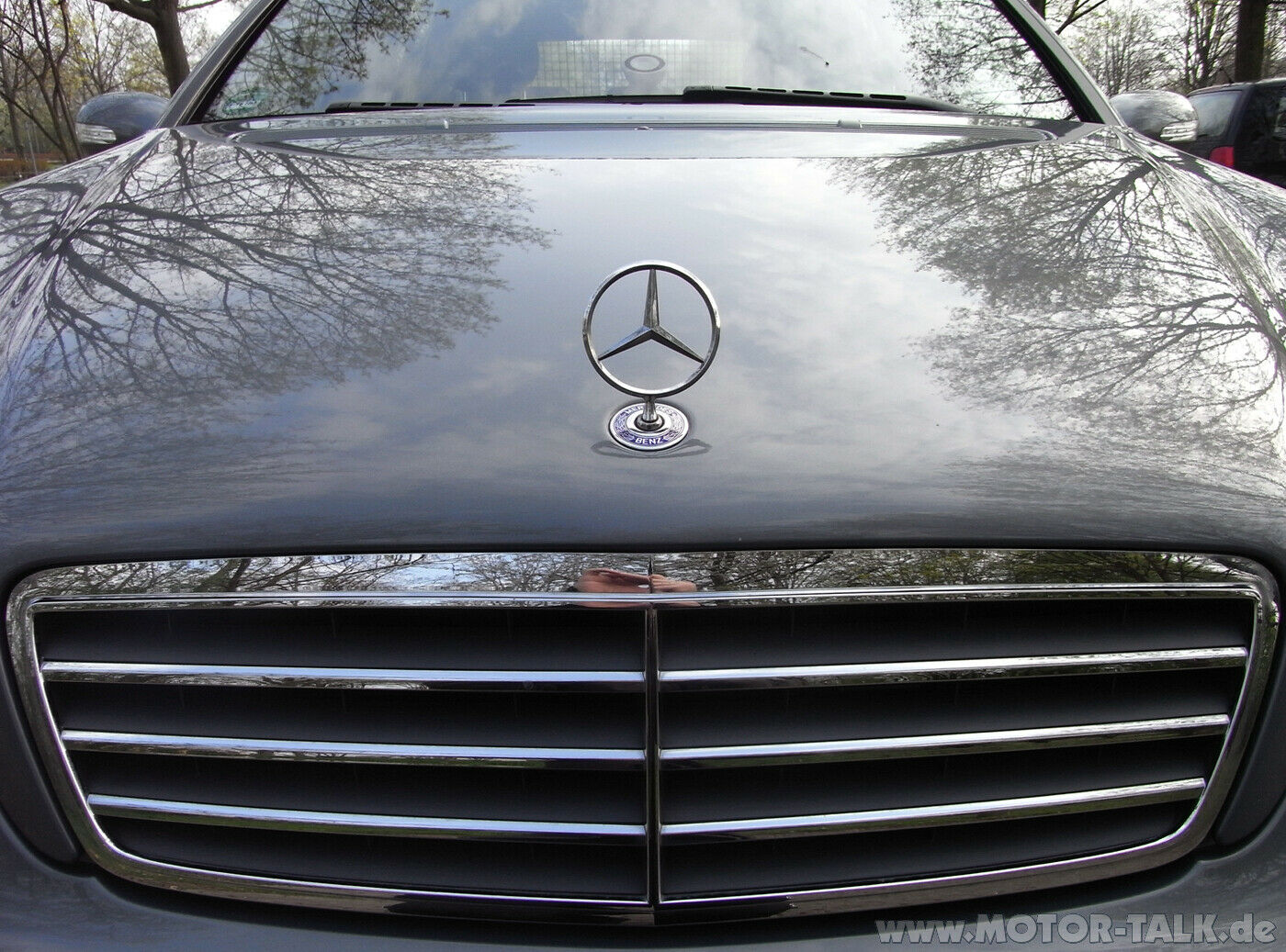 Erfahrungsbericht 1 - DODO Juice