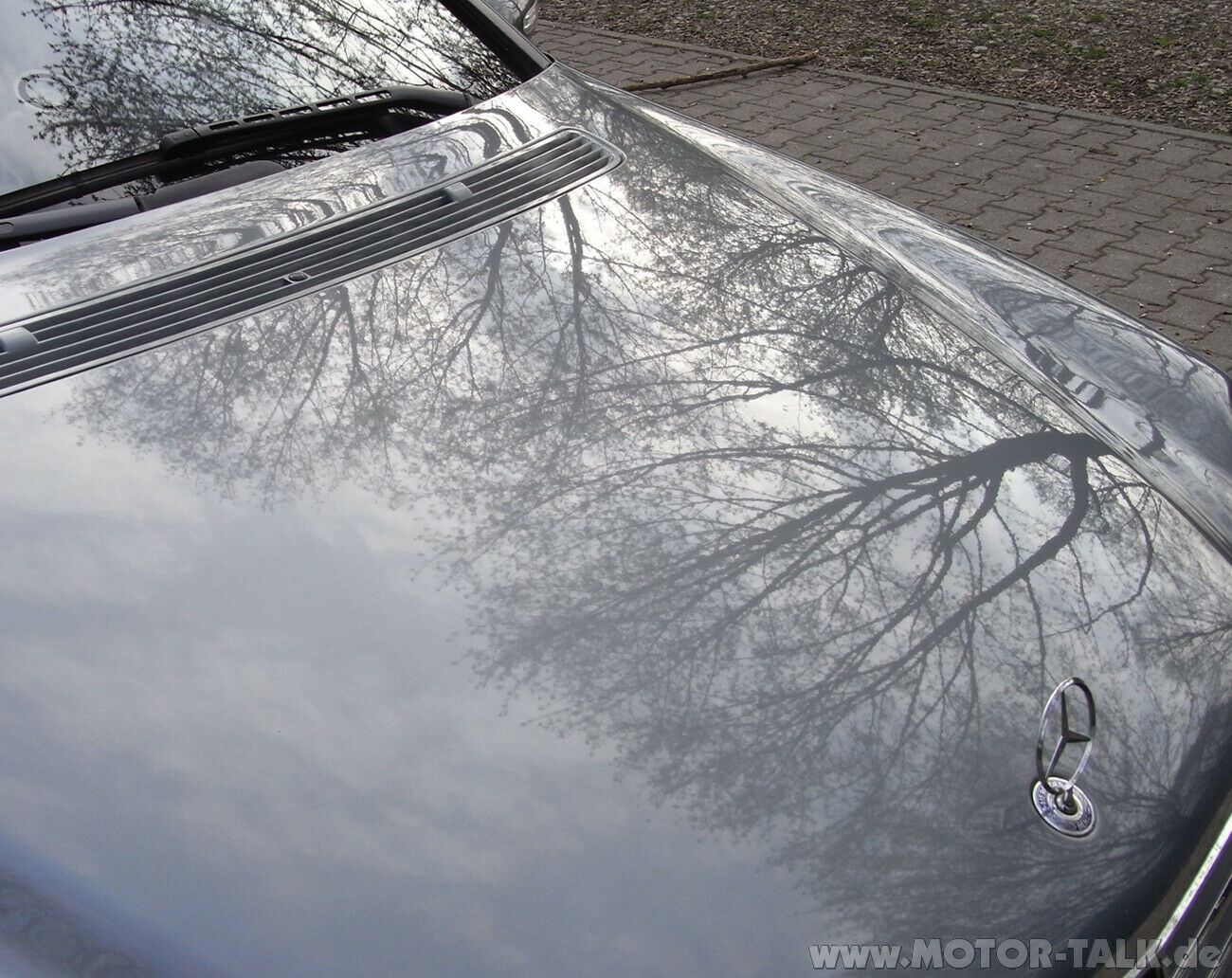 Erfahrungsbericht 1 - DODO Juice