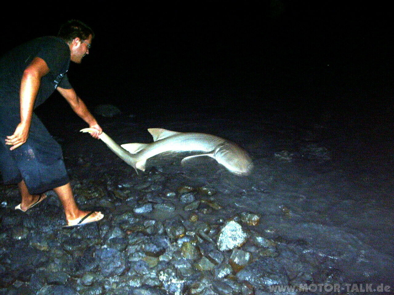 Teil 6: SchniSchnaSchnappi, oder "ich hab mir da mal was geangelt" ;-)