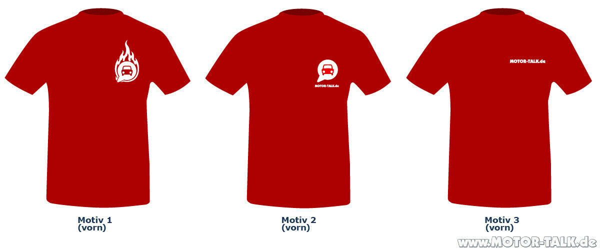 The Final: Audi Alpentour - ALT V 2.7. 4.7.2010