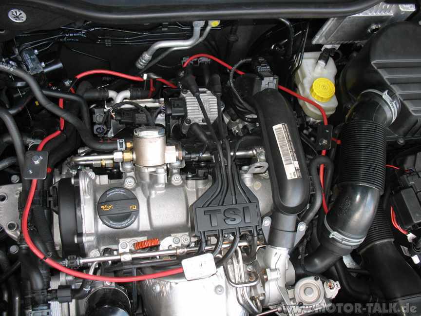 Marder dagewesen...Juhu