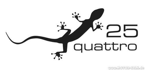 Bild-202-20gecko-25jahre-quattro