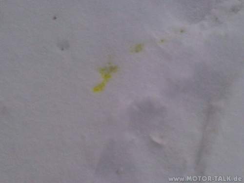 Img00388-20101210-1044