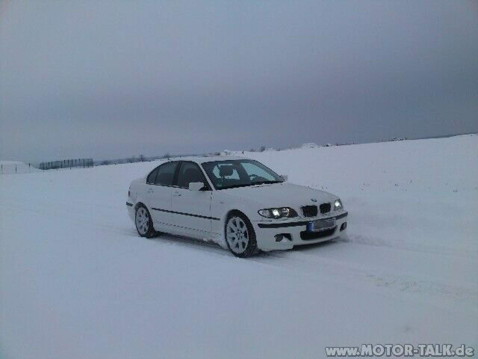 AlpinweissIII im Schnee
