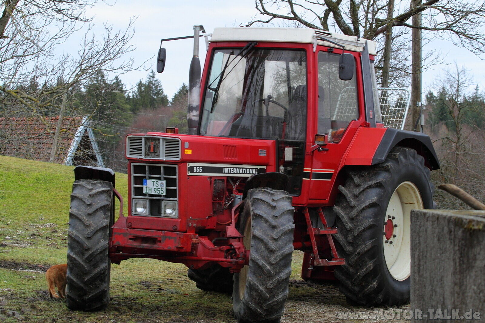 Das Ende einer Ära? / Was wird aus der Formel 1?