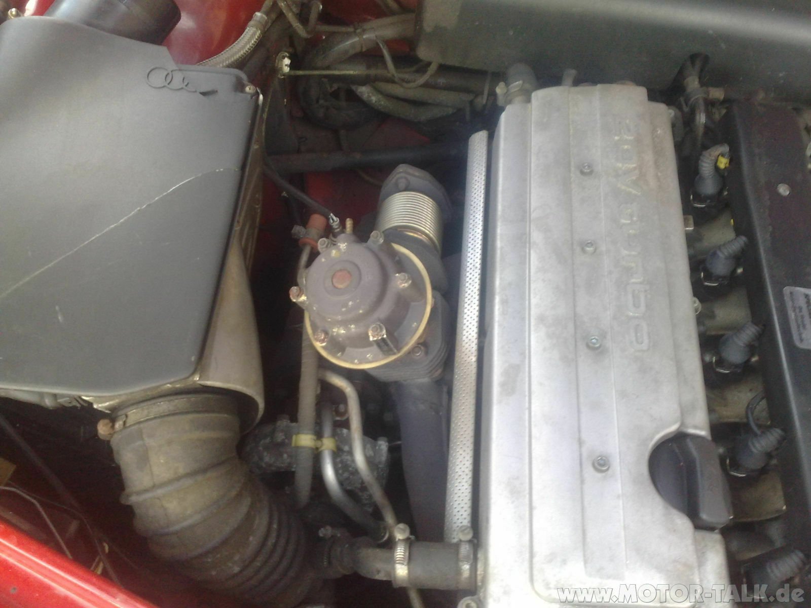 Zeigt her Eure "Dicken"