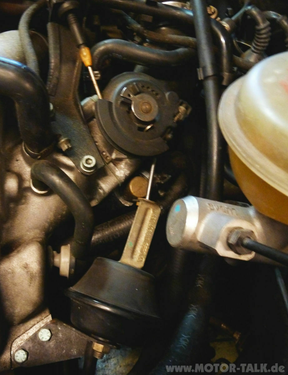 Zeigt her Eure "Dicken"