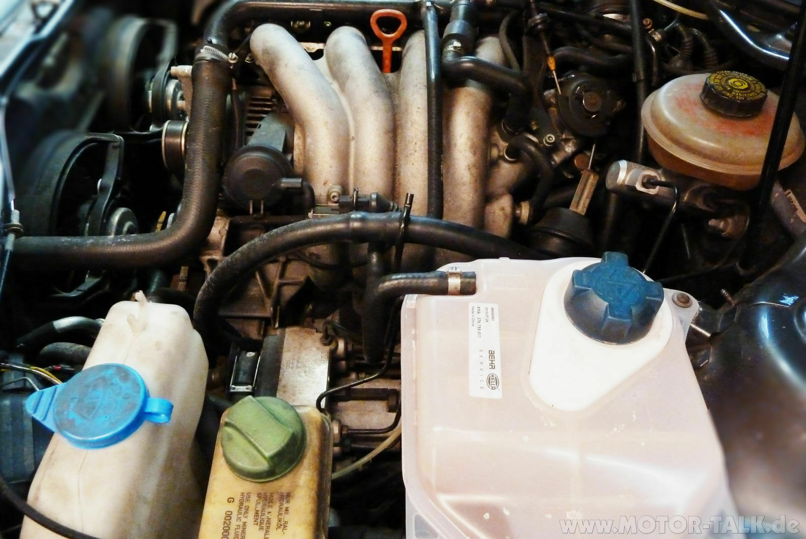 Zeigt her Eure "Dicken"