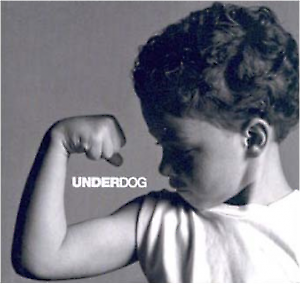 1. offizielle Kuhzählung