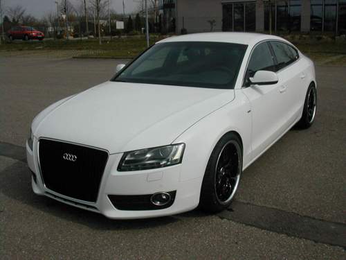 Querlenkerbuchsen-013