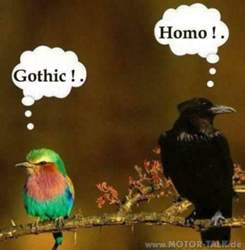 Gothic