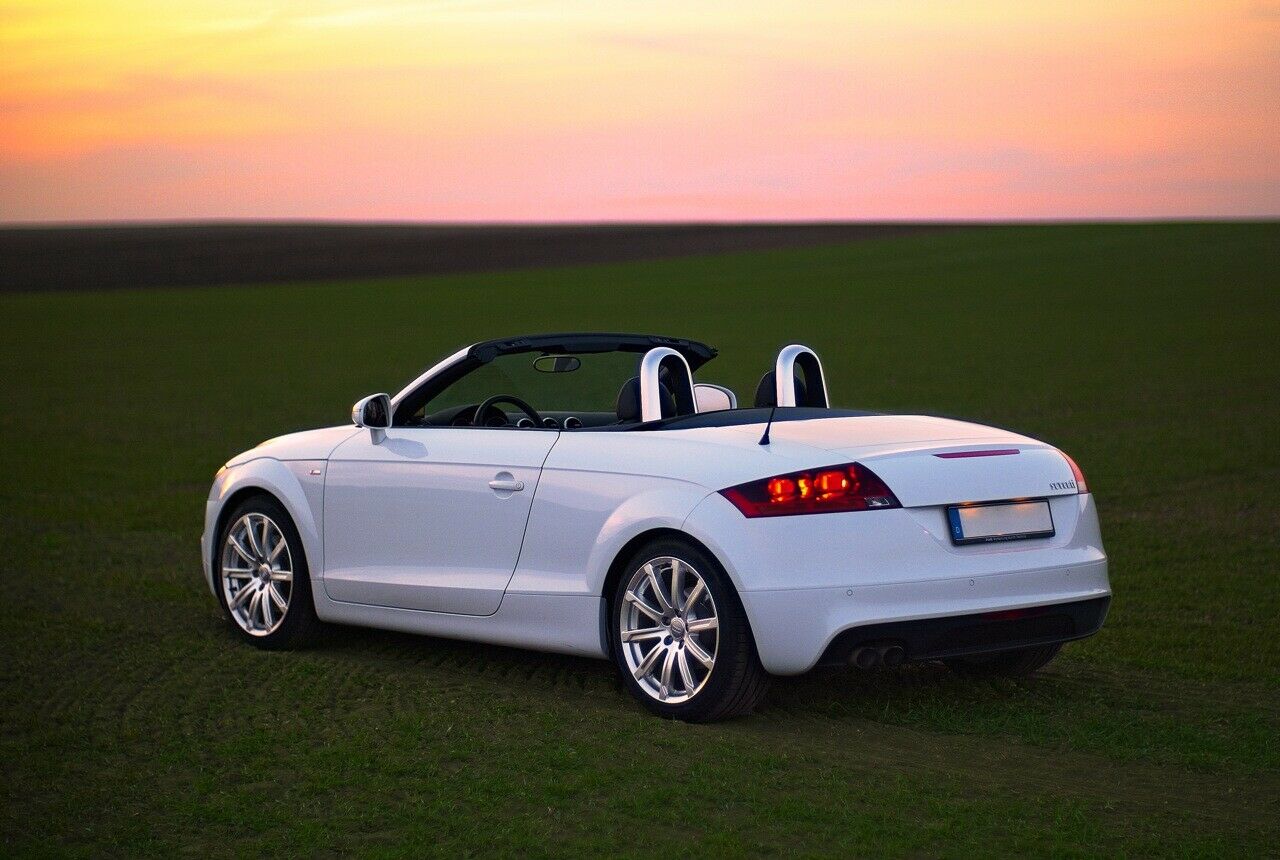 Tt-ibis-dunkelgrau-02