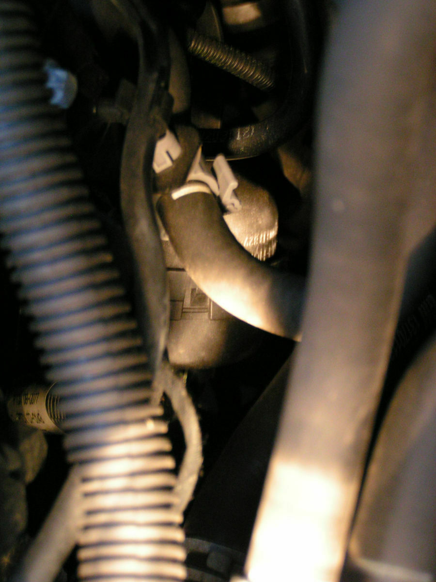 Zafra B // kurzes PFFF Geräusch beim Gas geben.