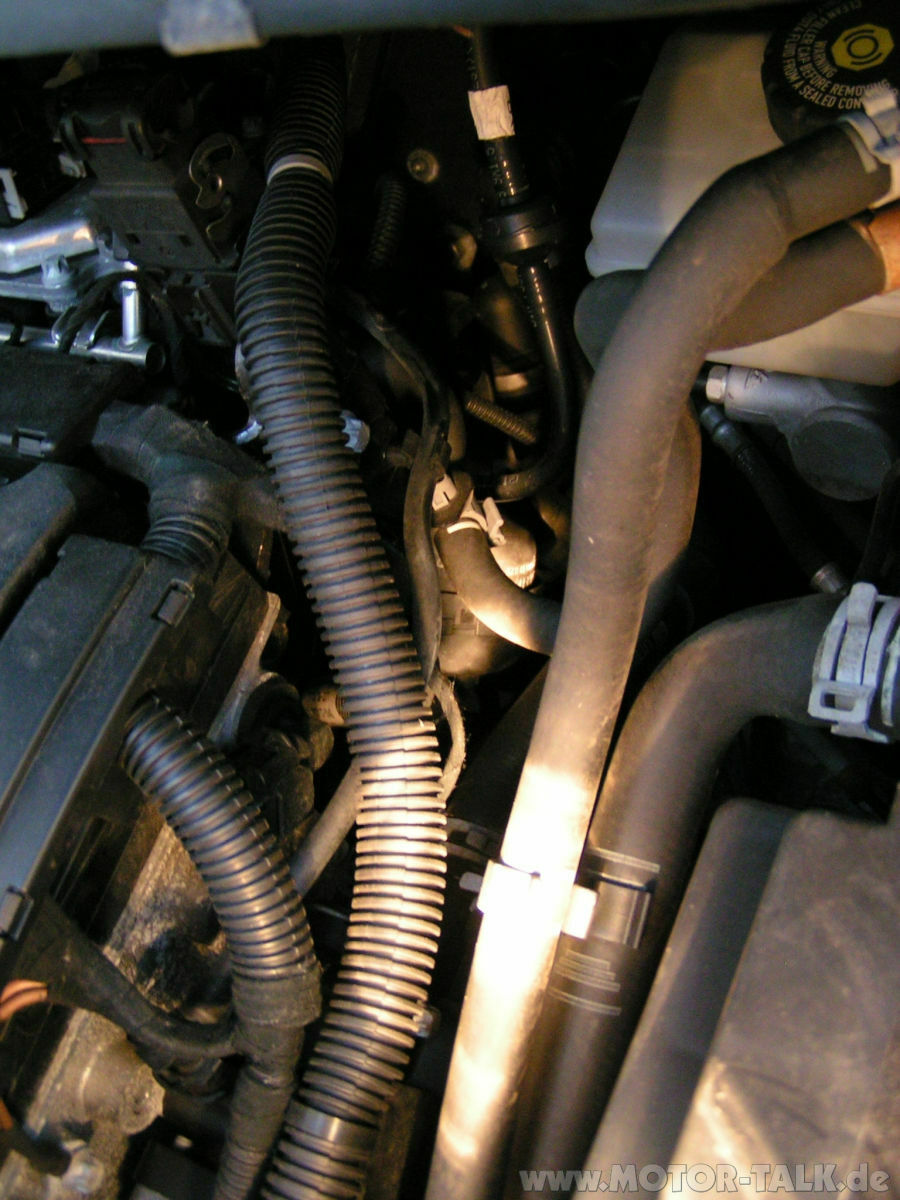 Zafra B // kurzes PFFF Geräusch beim Gas geben.