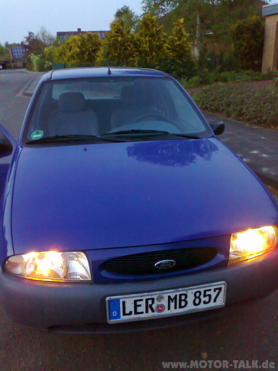 Zeigt mir eure "süßen" fofis