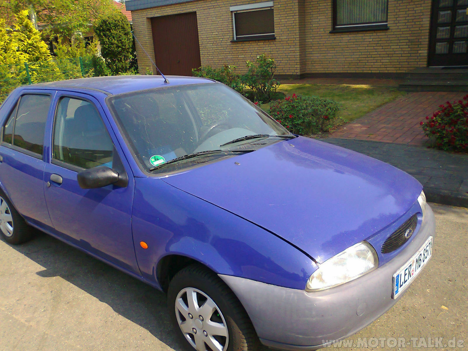 Zeigt mir eure "süßen" fofis