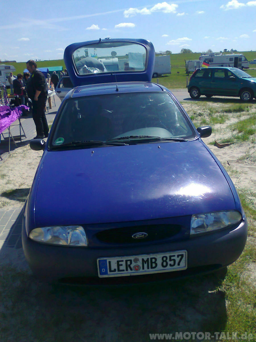 Zeigt mir eure "süßen" fofis