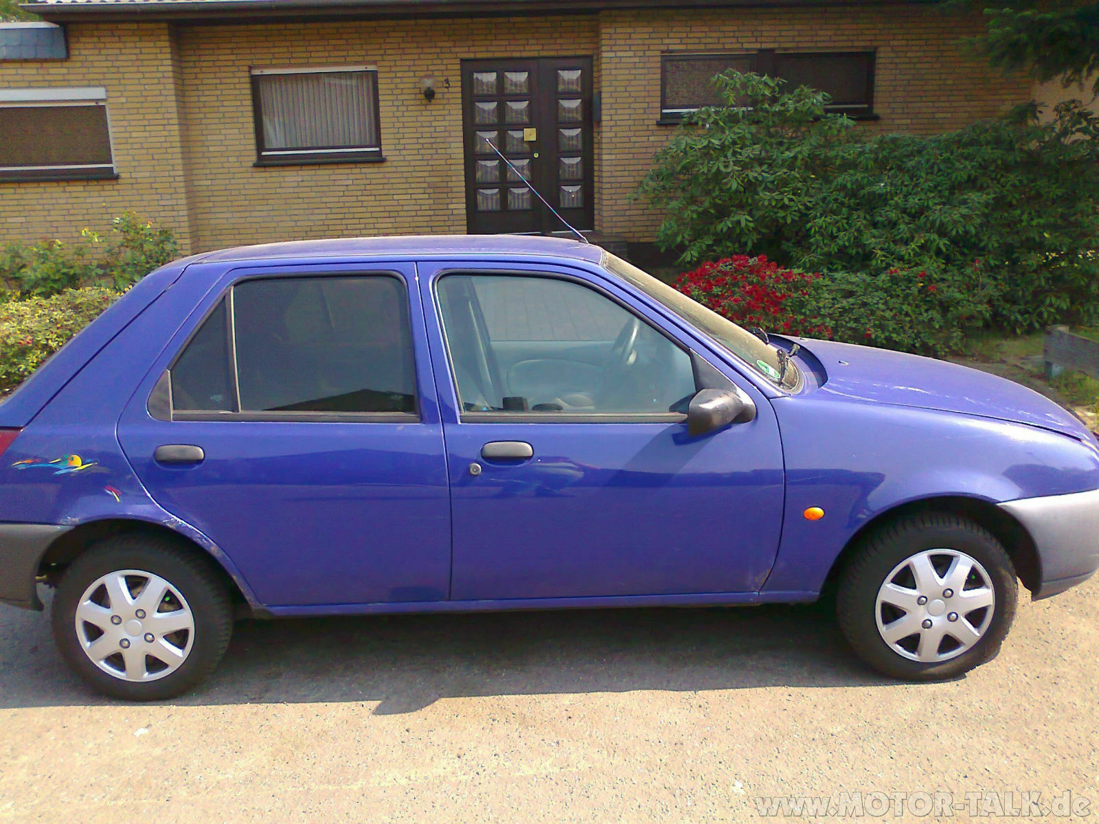 Zeigt mir eure "süßen" fofis