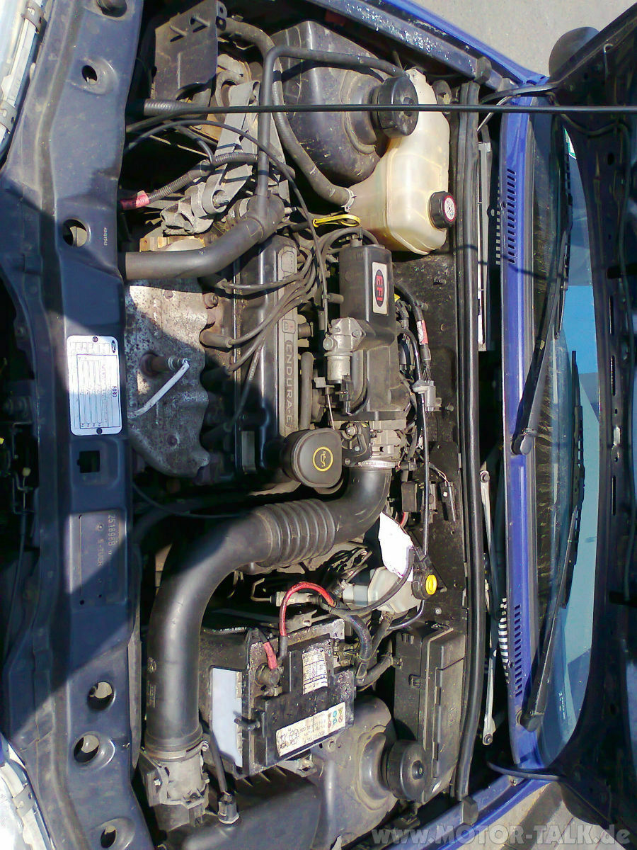 Zeigt mir eure "süßen" fofis