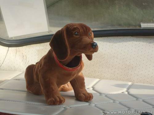 Waldi-is-watching-you